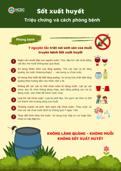 Sốt Xuất Huyết Triệu Chứng Và Cách Phòng Bệnh